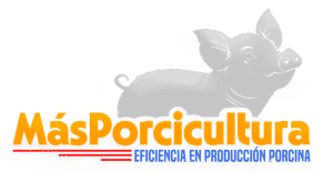 Imagen de logo del formulario